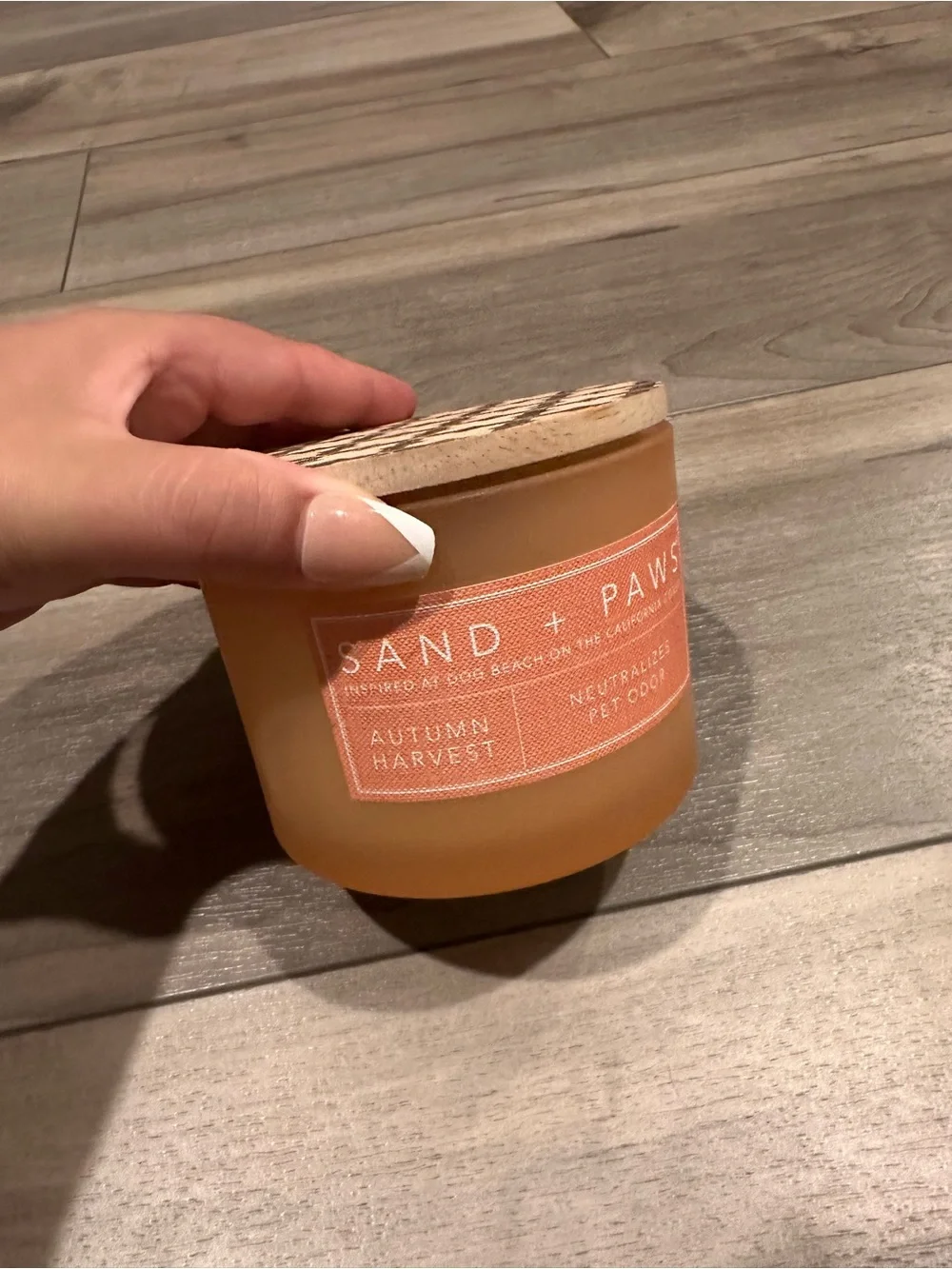 Autumn Harvest Orange Glass Candles sand + paws 🐾 autumn harvest 🍁